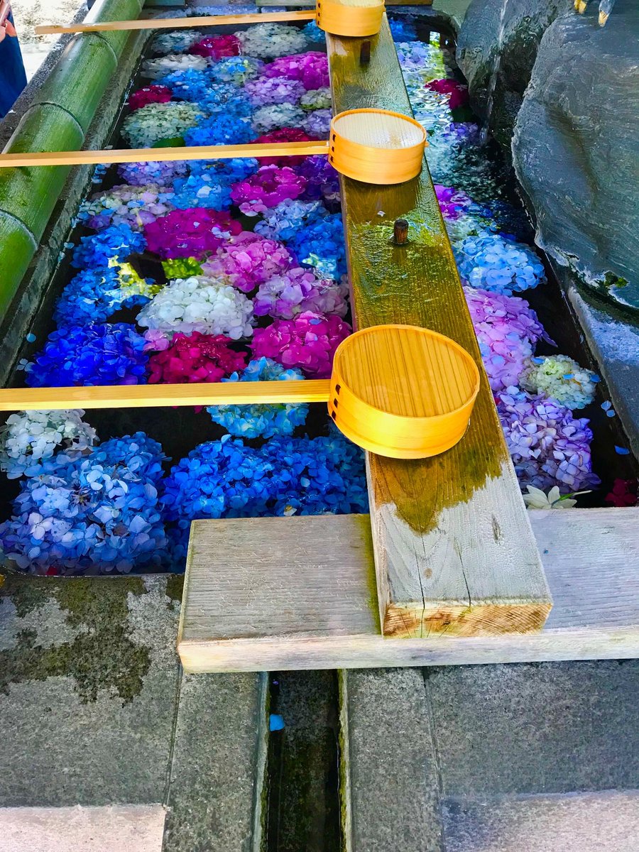 有限会社ソフトハンズ 愛知県一宮市 見た人に幸せが訪れると伝わる ハート型の紫陽花 皆様にも幸せのお裾分け 一宮市 御裳神社 みも神社 インスタ映え リツイートした人全員フォローする いいねした人全員フォローする