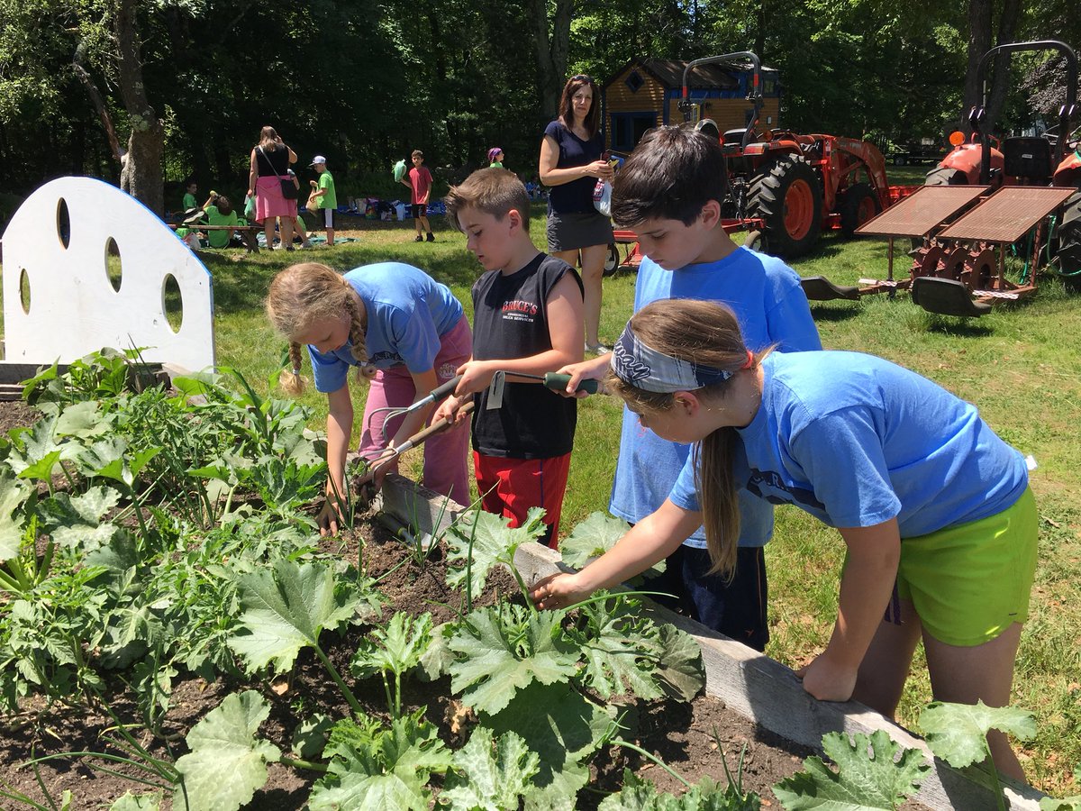 BurkeMemorial's tweet photo. A FUN and productive day at the farm. Thanks to these 4th graders, many families had some vegetables for dinner this evening! #MEPTO #Medwaycommunityfarm https://t.co/GAPQLw5uD5