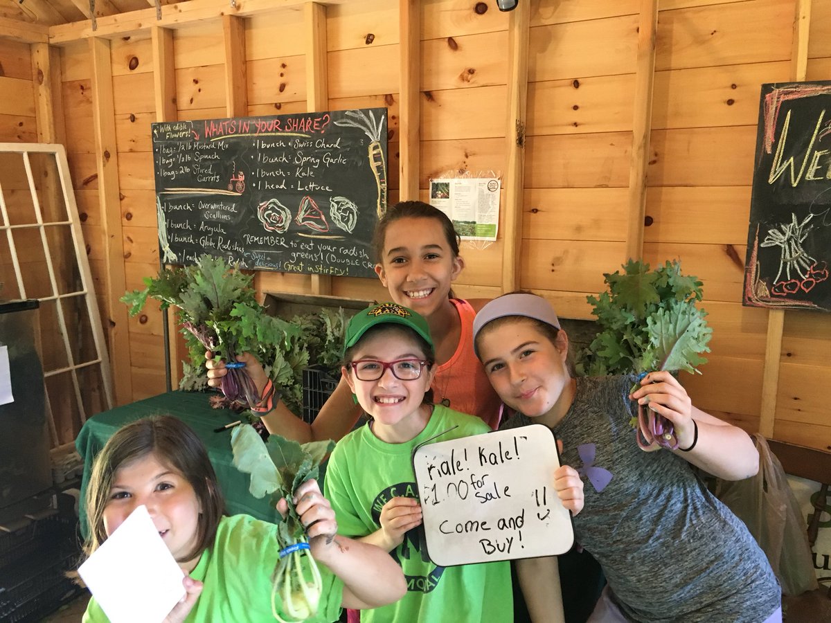 BurkeMemorial's tweet photo. A FUN and productive day at the farm. Thanks to these 4th graders, many families had some vegetables for dinner this evening! #MEPTO #Medwaycommunityfarm https://t.co/GAPQLw5uD5
