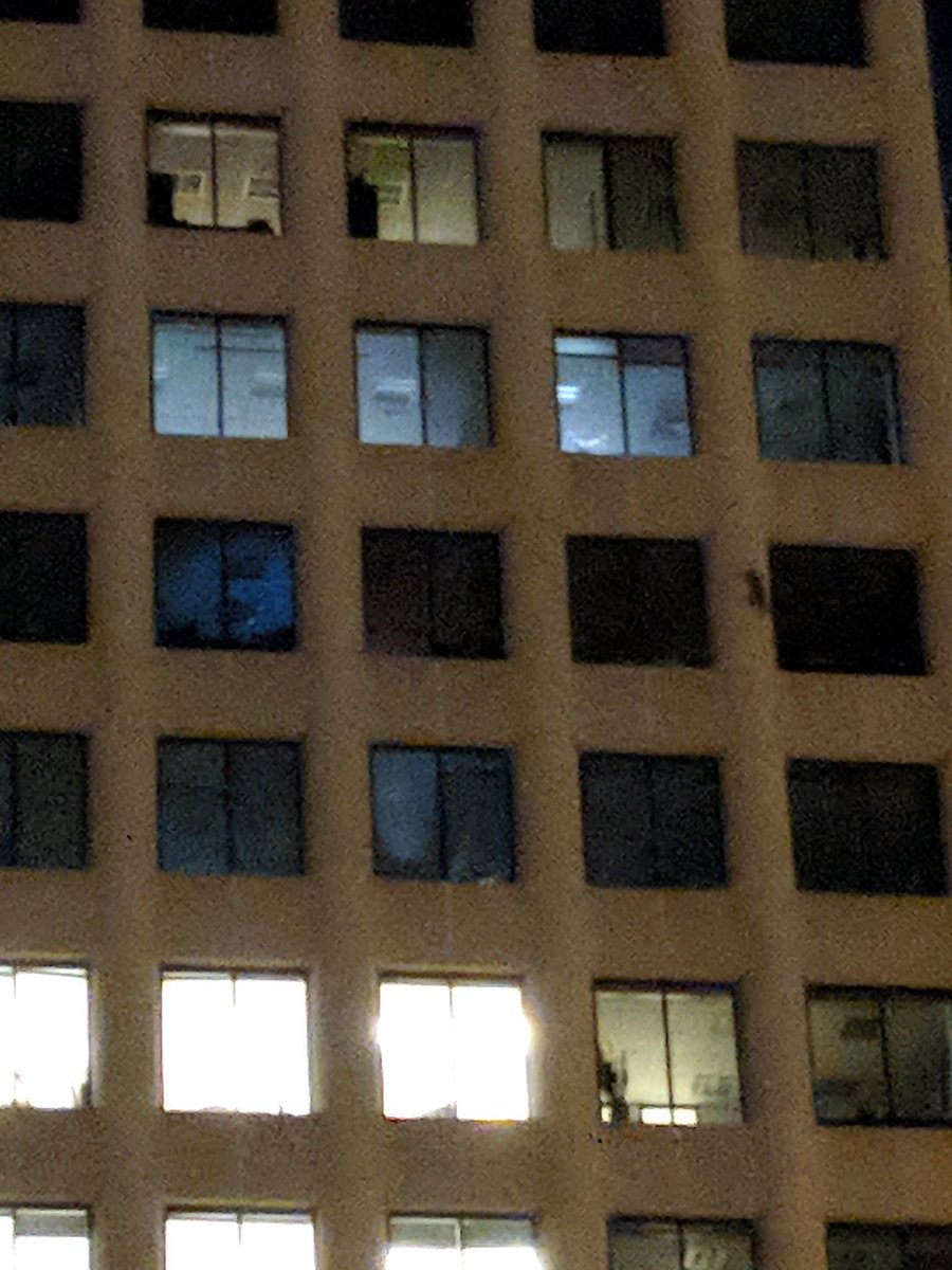 timnelson_mpr's tweet photo. I can hardly stand this anymore. 17th floor. #mprraccoon https://t.co/CkhMlVyEqY