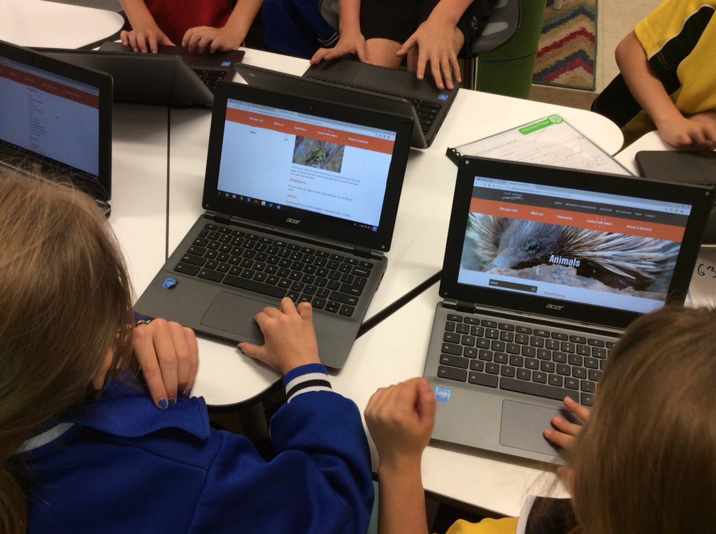 bugs_ferguson's tweet image. My students are currently sinking their teeth into a rich inquiry project that incorporates #digitaltechnologies, science, maths and writing. They are really enthusiastic; can’t wait to see final work 😃 #TDS2018_2019 #TCCwa #googleslides #desertsurvivors