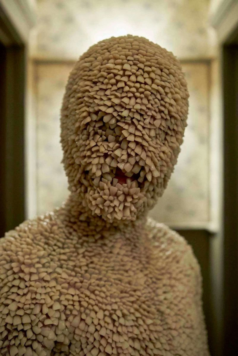 Jezinista's tweet photo. Well tooth came out... he hid his tooth in the kitchen.. he wanted to know what the tooth fairy looked like..... google was bad.. now he is terrified.  He is sleeping in my bed tonight lol #badgoogle https://t.co/qCt8STiJ5X