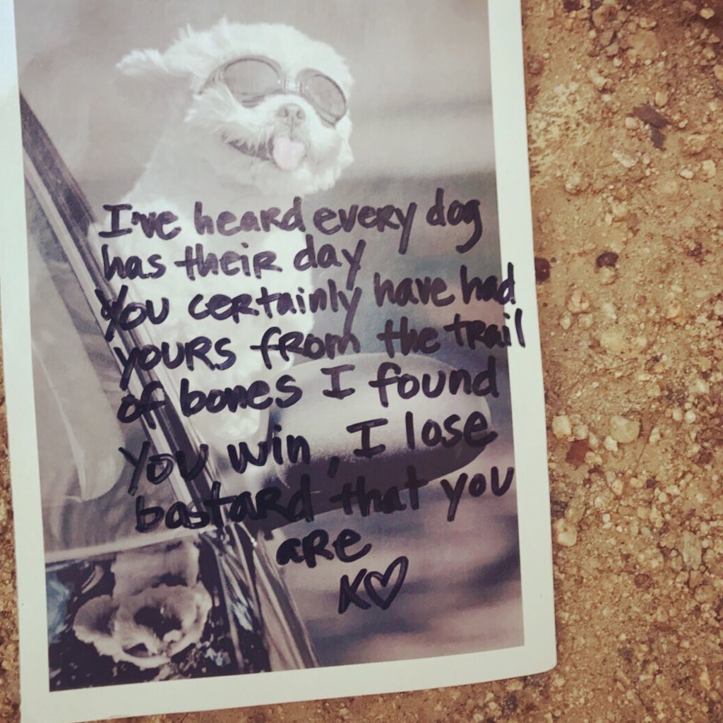 SabrinaRosalita's tweet photo. #guerrillapoetry day 352(13 to go!)
#dogdaysareover #stopdropandwrite #noediting https://t.co/CpuLs4uBy7