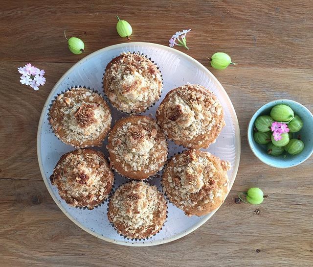 thecopperspoon's tweet photo. It’s the start of the English gooseberry season to celebrate we have made gooseberry and almond crumble cakes filled with a homemade gooseberry curds these are a fleeting early summer treat!
#marazion #vegancupcakes #vegancupcakestakeovertheworld #gooseb… https://t.co/ElorcHDUzV https://t.co/uEizTvMl89