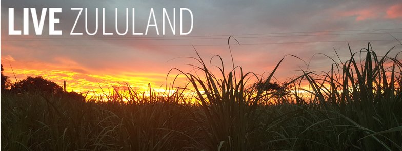 LGSIRZululand's tweet photo. Sunsets through the cane fields! Life in Zululand holds simple but unsurpassed beauty like no other!
#liveinzululand #zululand #lifeonthecoast #mtunzini #oceanlife #sugarcane #farming #timetobuy #timetorent https://t.co/QYQTauDw8M