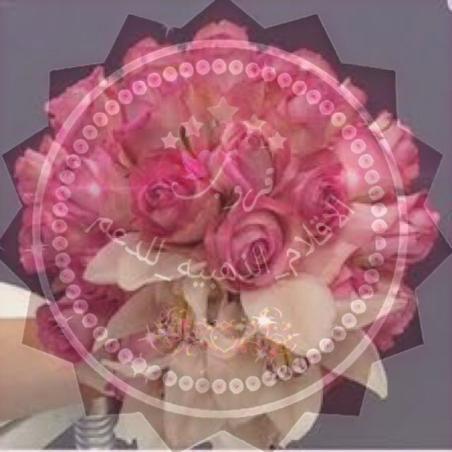 pp____pp4's tweet photo. ✿•༻━🌸━༺✿
┊┊⇣ 
┊⇣ 
↓

✨🌸

---

هُنآك آروآح كـآلبــلسـم نقيہ , 
بــيضـآء 
آصـحـآبــهآ ذو قلوب نآبــضـہ
قلوب حـيہ , وفيہ بـــمـعنى آلكلمـہ

         آلف شـكر على تفآعلك✨🌸

---

#الاقلام_الذهبيه_للدعم
@B_rincess https://t.co/0I7YjkJLfU