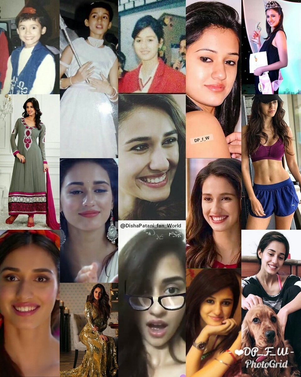 DishaPataniFanWorld tweet media