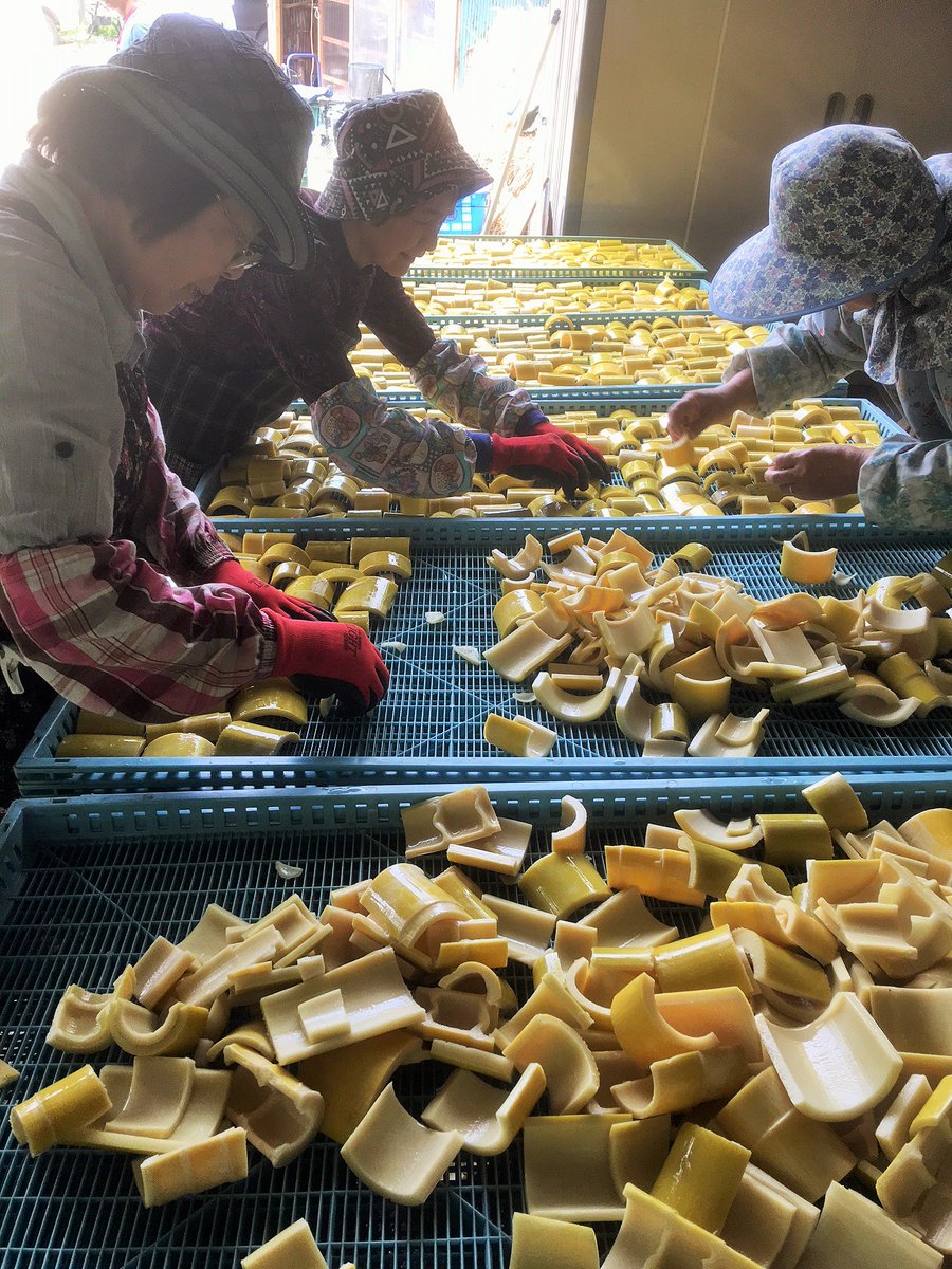 餃子の王将 公式 A Twitter 国産メンマの原料 孟宗竹は愛媛県で収穫されています 元々乾燥しいたけなどを生産される農家さんなので その設備で農閑期に収穫していただいていますヾ ソノサキ 国産メンマ