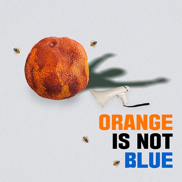 이제부터 다시 시작입니다.