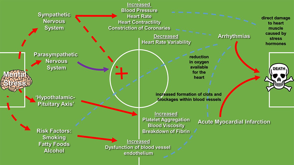 imperialcollege's tweet photo. How does #WorldCup stress affect your heart? Our @ImperialNHLI expert explores how watching #football isn’t all fun and games for our heart health https://t.co/WVho7DhpNf https://t.co/lxVRUWiNLX