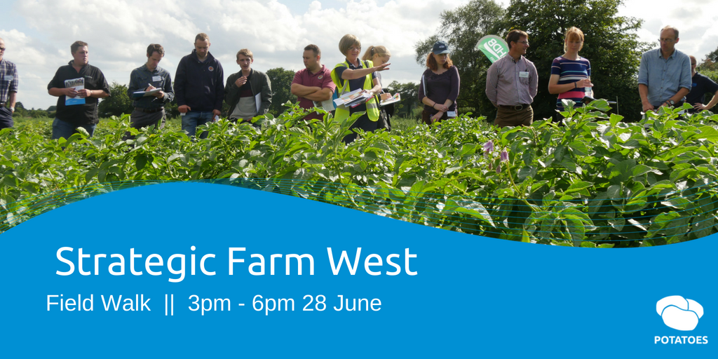 AHDB_Potatoes's tweet photo. Tackle PCN and Blight more effectively, by discussing best practice and viewing demonstrations at our first #SPotFarm West field walk of 2018. More info and details: https://t.co/8t2Wq0mZ7B https://t.co/udpVkIVSuW
