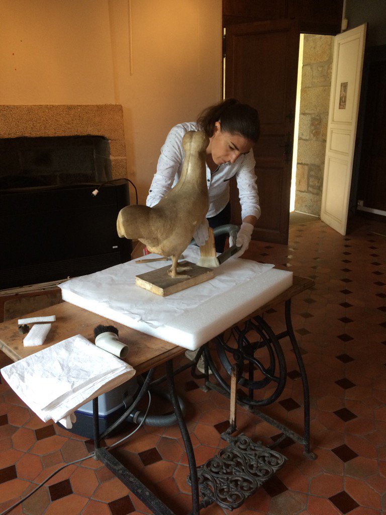 Dépoussiérage et déplacement des collections dans les nouvelles réserves. Nouvelle étape du #museeenchantier !