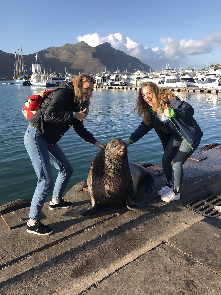 LivvyWade's tweet photo. This trip was simply the best. Can’t believe it was nearly a year ago. 🇿🇦 https://t.co/YVI8lFhIpO