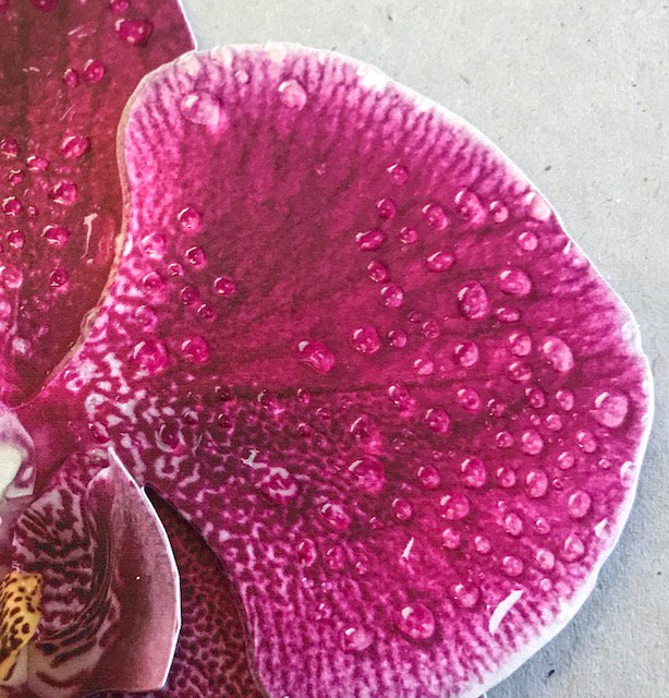 3 Way Displays tweet media