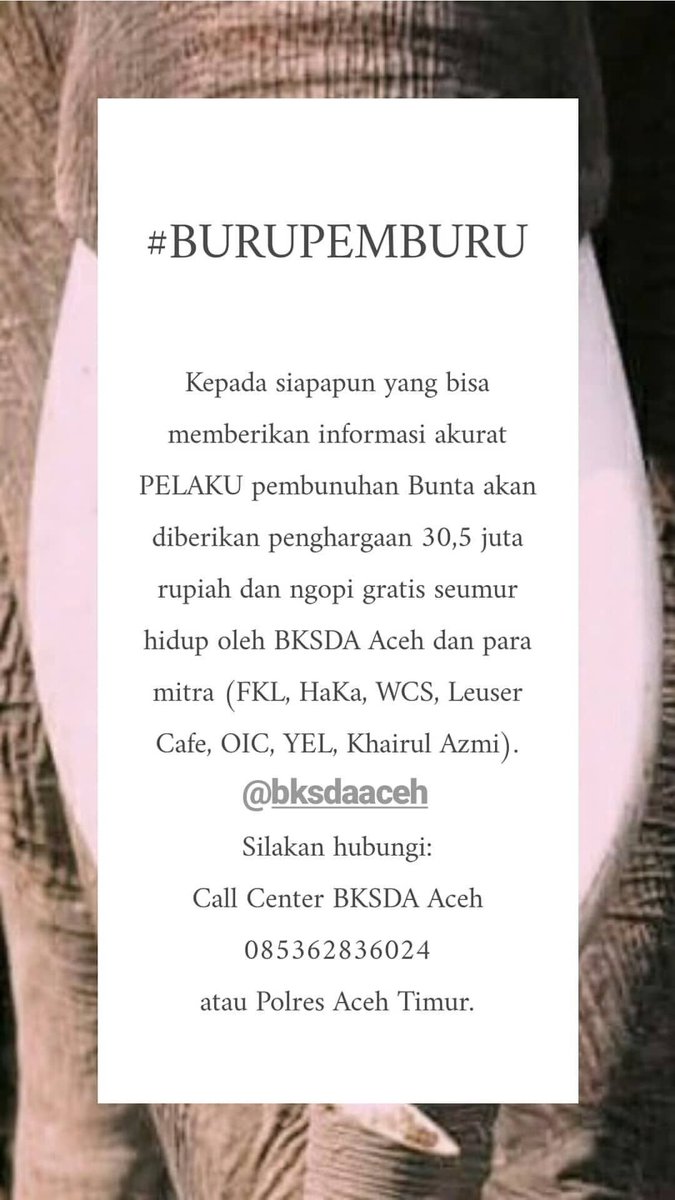 Kementerian Kehutanan RI tweet media