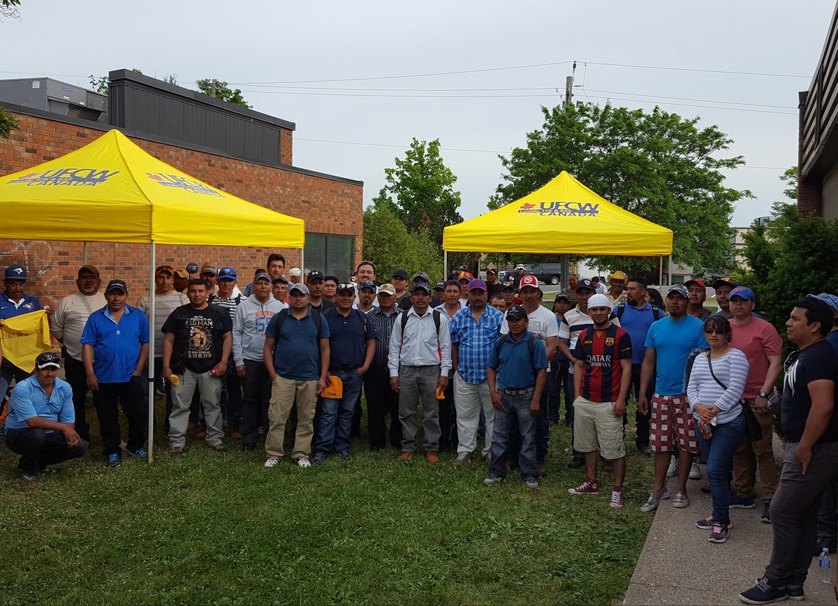 right2unionize's tweet photo. Farmworkers deserve #Right2Unionize in #Ontario. Massive Know Your Rigths Workshop 4 local &amp; migrant Ag workers. Shout out to @UFCWCanada 👏💪 https://t.co/YvIMCxjaoT
