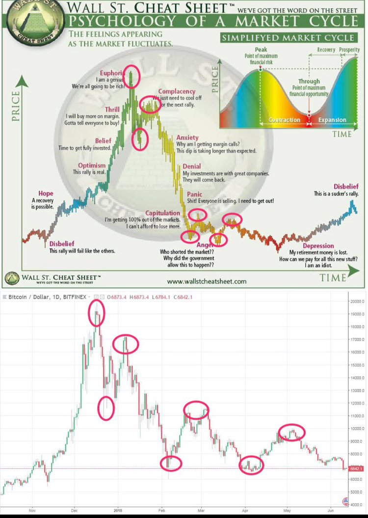 Kryptobasis (@kryptobasis_de) on Twitter photo 