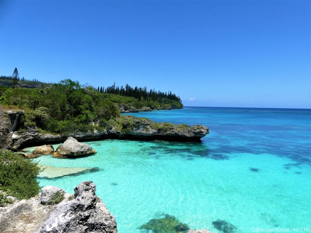 #Mare, une #ile aux milles #couleurs et milles #facettes ! Pensez à l'ajouter dans votre liste de #voyage à faire en 2018 😎
#NouvelleCaledonie #TravelList #vacances
➡ bit.ly/ile-mare