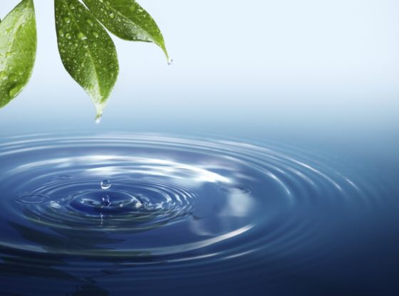 avanirai09's tweet photo. Understanding Water

Most of us treat water as an inert element in our lives. Of course, everyone knows how essential water is in our life. 

#lifecoachingnbangalore #importanceofwater

https://t.co/dywXtFzcFu https://t.co/UPU7klfLsQ