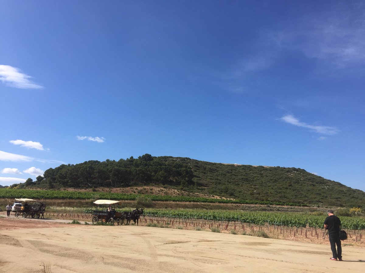 rtroyano's tweet photo. .@familiatorres “Aquest és un paradís per a la viticultura ecològica” #MiquelTorres al nou celler #Purgatori recuperant la viticultura amb vinyes socialitzades en 1territori de secà i d clima continental on s’exiliaven els monjos d Montserrat al sXVIII #vicatalà #gx #cny #gonfaus https://t.co/WXgW6DL1f1