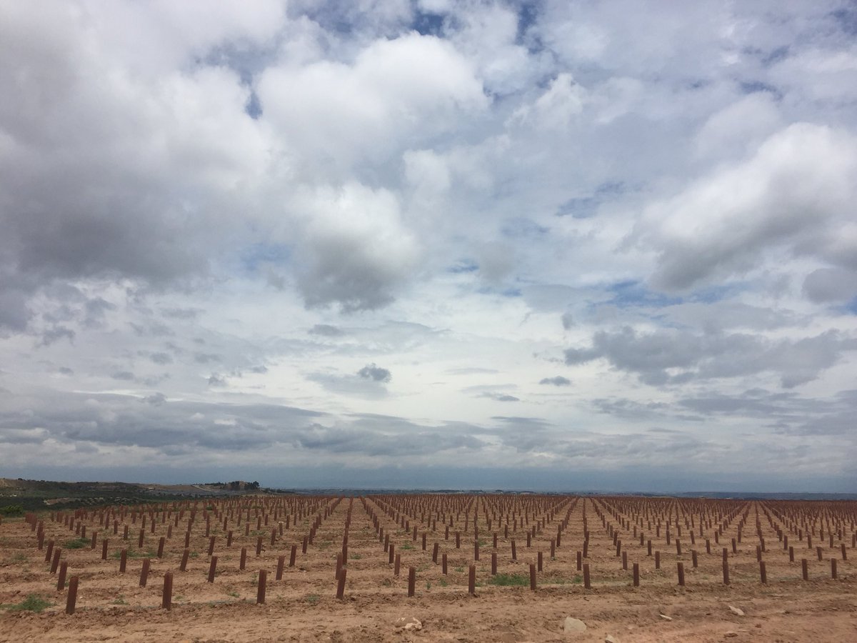 rtroyano's tweet photo. .@familiatorres “Aquest és un paradís per a la viticultura ecològica” #MiquelTorres al nou celler #Purgatori recuperant la viticultura amb vinyes socialitzades en 1territori de secà i d clima continental on s’exiliaven els monjos d Montserrat al sXVIII #vicatalà #gx #cny #gonfaus https://t.co/WXgW6DL1f1