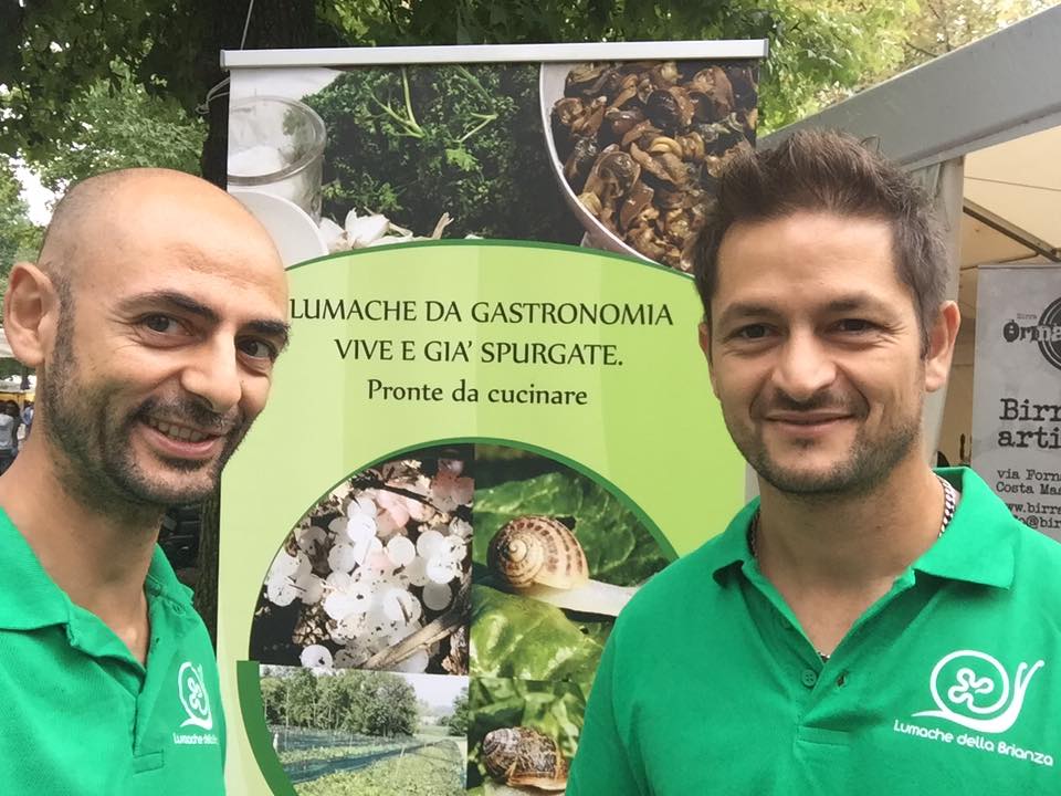 lumachedella's tweet photo. Proponi lumache alla tua festa di paese - https://t.co/g5dt11Kbz8 https://t.co/ocRHWkOKt2