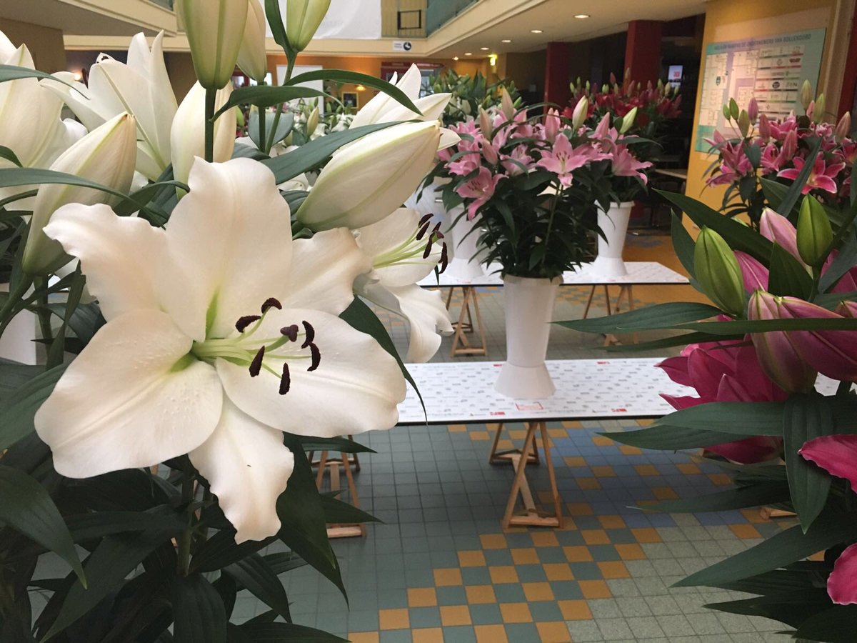 Vandaag is de dag #nkleliekeuren