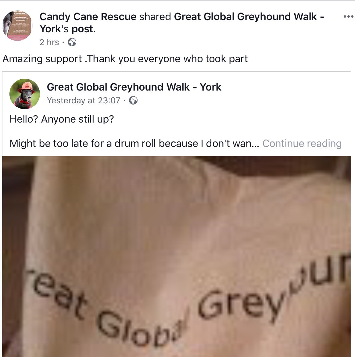 Candy's Hound Rescue International tweet media