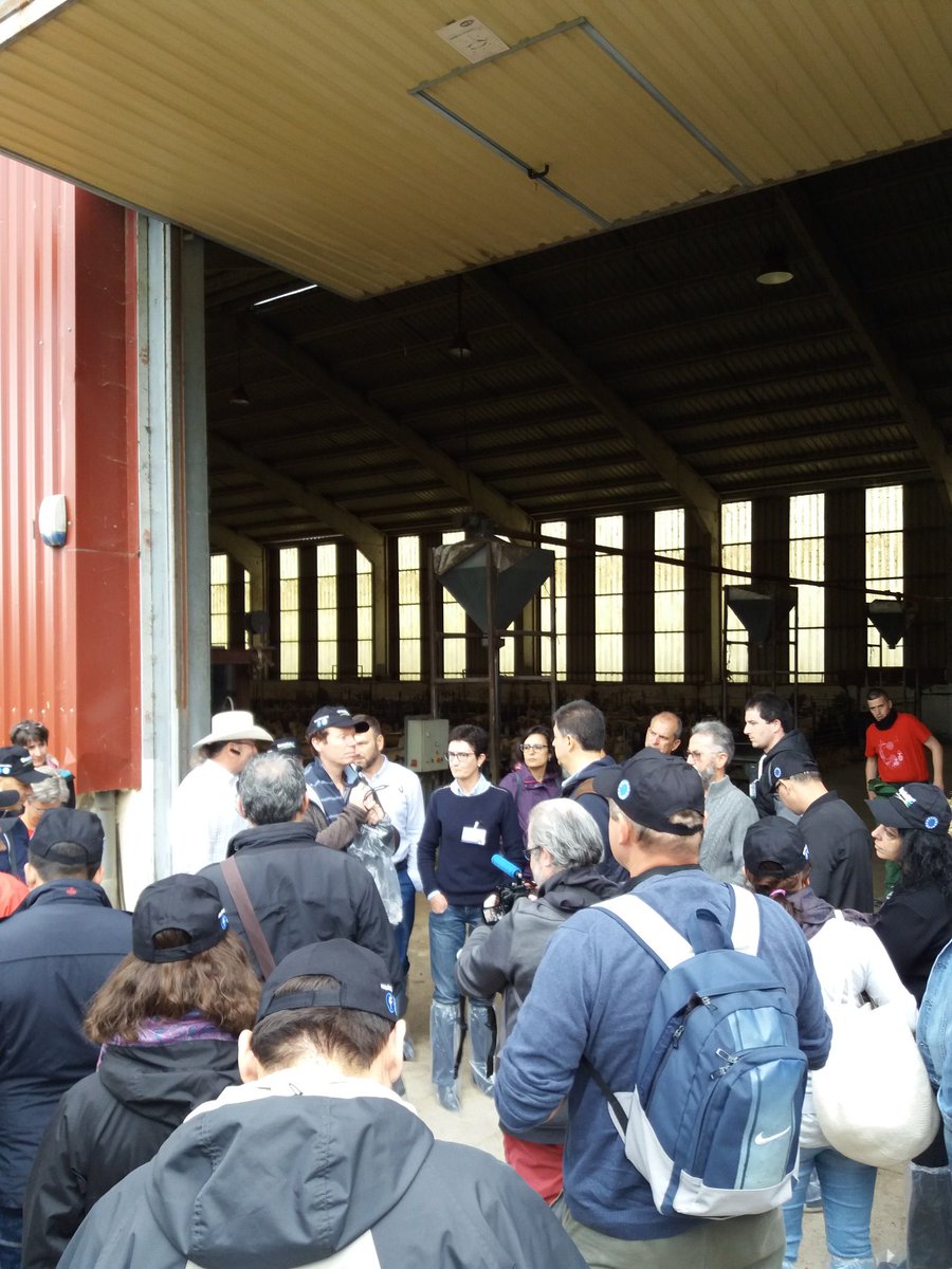 reussirpatre's tweet image. Les rencontres internationales de #sheepnet commencent aujourd&apos;hui dans le pays basque espagnol.