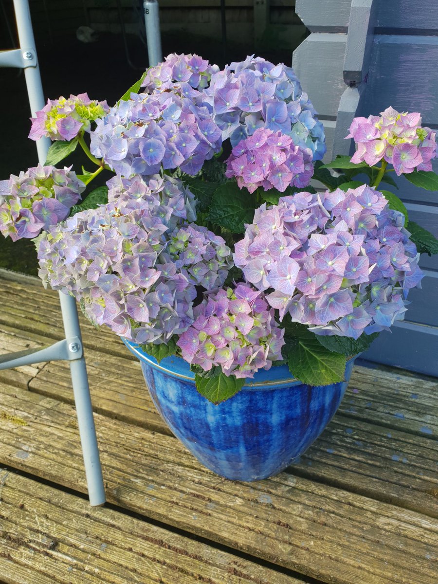 #beautiful ❤❤❤