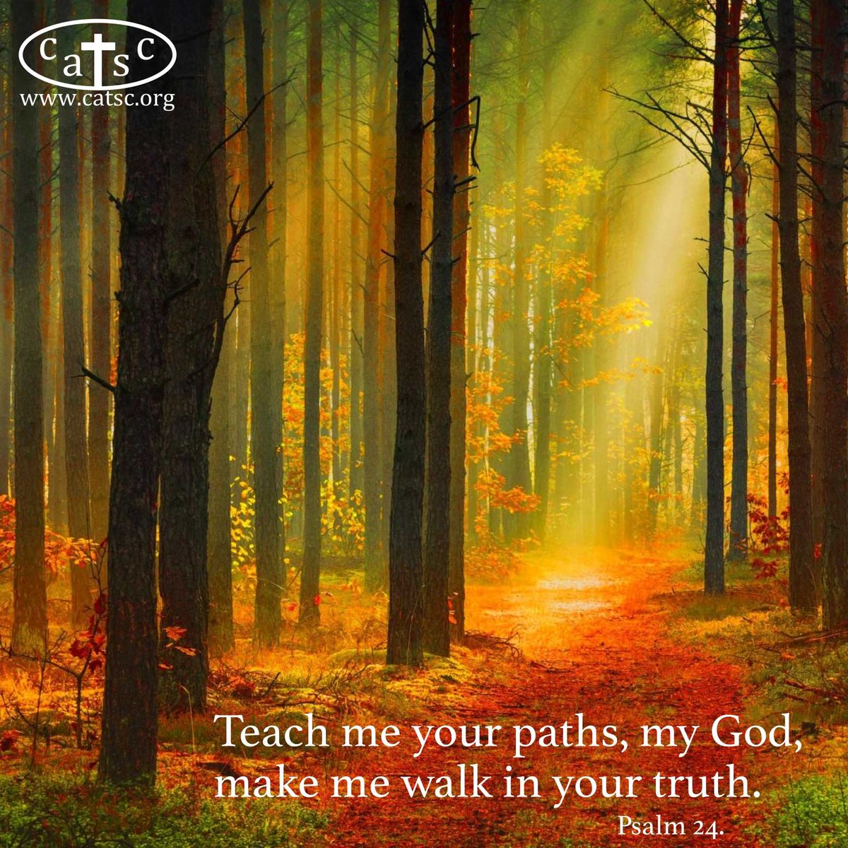 CATSCEW's tweet photo. CATSC Daily resource 13th June 2018:

#catholic #prayer #inspire 

@cathedservice @mccrimmonsuk @pontifex @CAFOD @missioUK https://t.co/5R8IYX7rgC