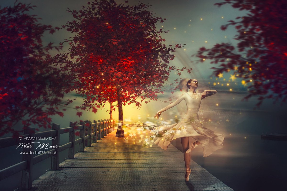 piadavanzo's tweet photo. “And suddenly you just know… t’s time to start something new and trust the magic of beginnings.”
#studio1897 #artphotography #fineartphotography #dancephotography #WednesdayMotivation https://t.co/sUfoNQtbKK