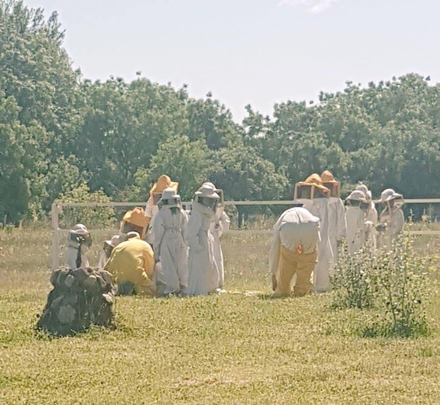 colegio_rcajal's tweet image. Pequeños grandes apicultores. 
🐝🍯🐝🍯🐝🍯🐝🍯🐝🍯🐝🍯
#4Primaria #granjasmolonas #CEIelJarama
