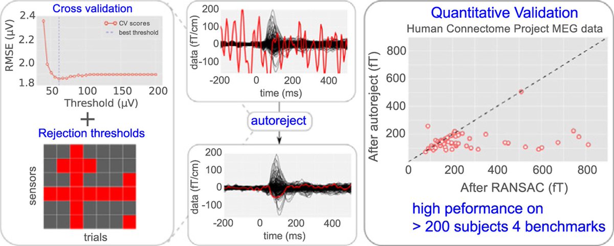 Denis A. Engemann tweet media