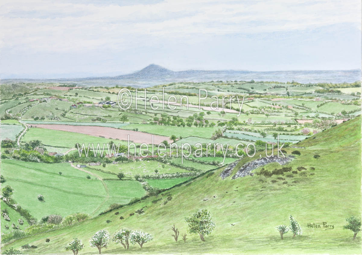 helenparryart's tweet photo. Good Morning, wishing you all a lovely day from gorgeous Shropshire :))

Wrekin from Hope Bowdler - Fine Art Giclee Print available to buy

#art #shropshire #giclee #print #painting #watercolour #HelenParry #wrekin https://t.co/KXVYkuEhzq https://t.co/beCJB8mj2V
