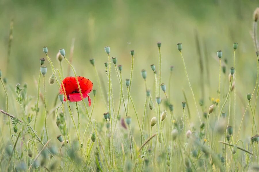 유지나 ♡작가♡ tweet media