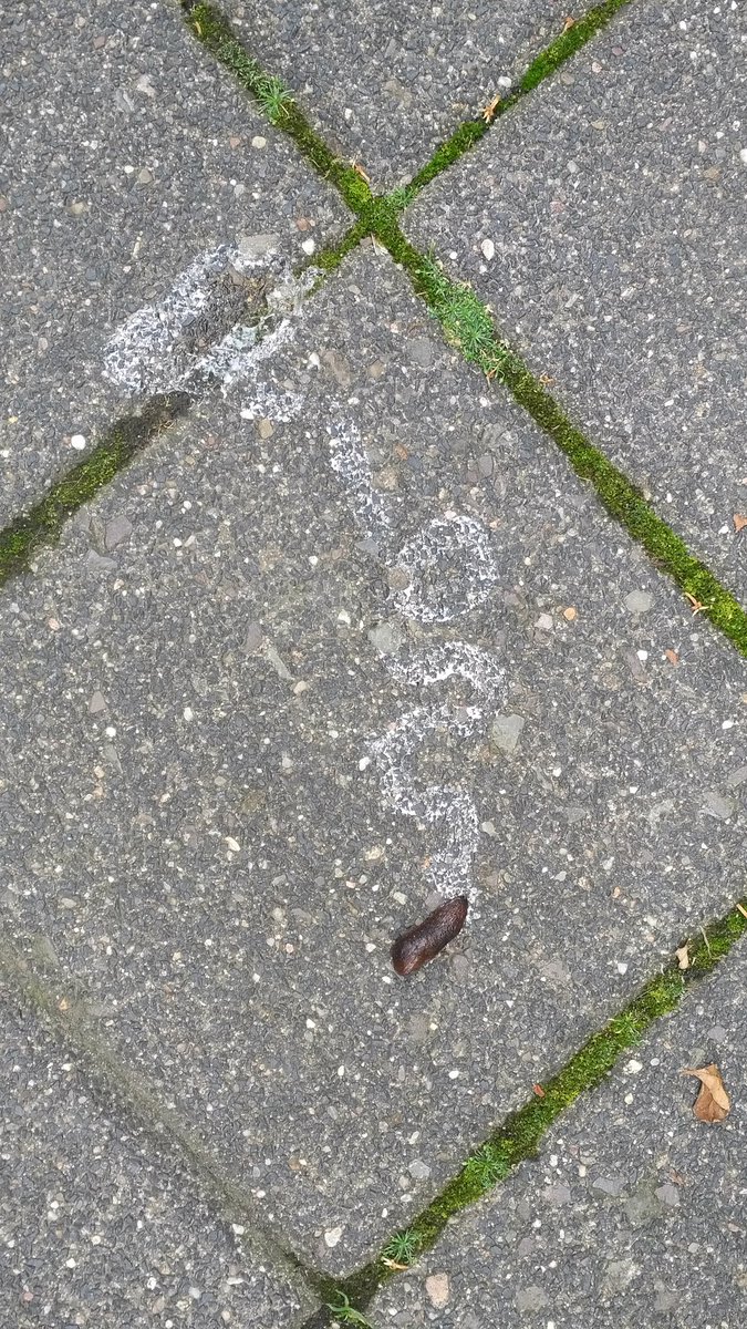 uliha's tweet image. #DerWegIstDasZiel 
😀