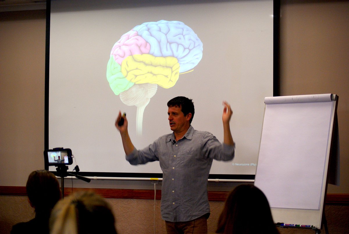Neurozone tweet media