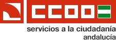 CCOOFSCJaén tweet media