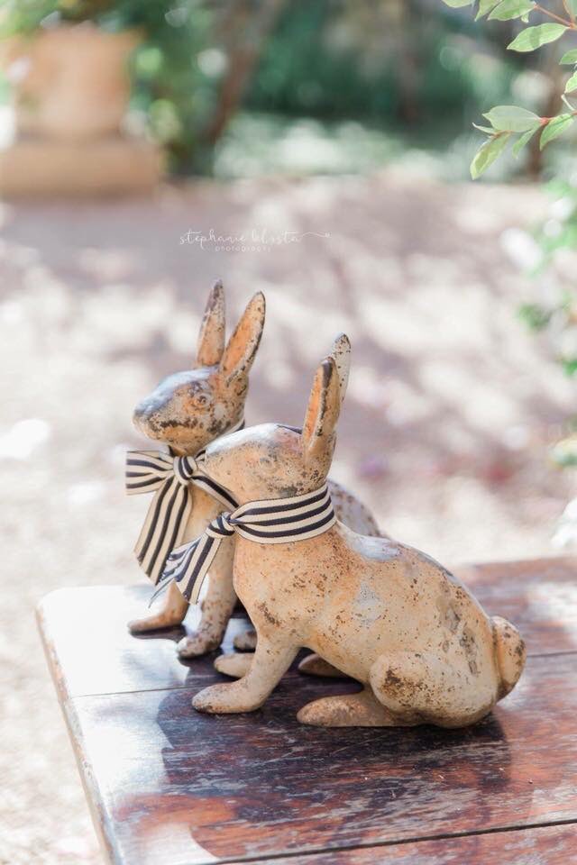 MorrellsB's tweet photo. What a welcome to greet our guests. Our bunnies are so photographed, so glad they made the trip from France some years ago 🇫🇷 #morrellsmemories https://t.co/rjqRvofl3i