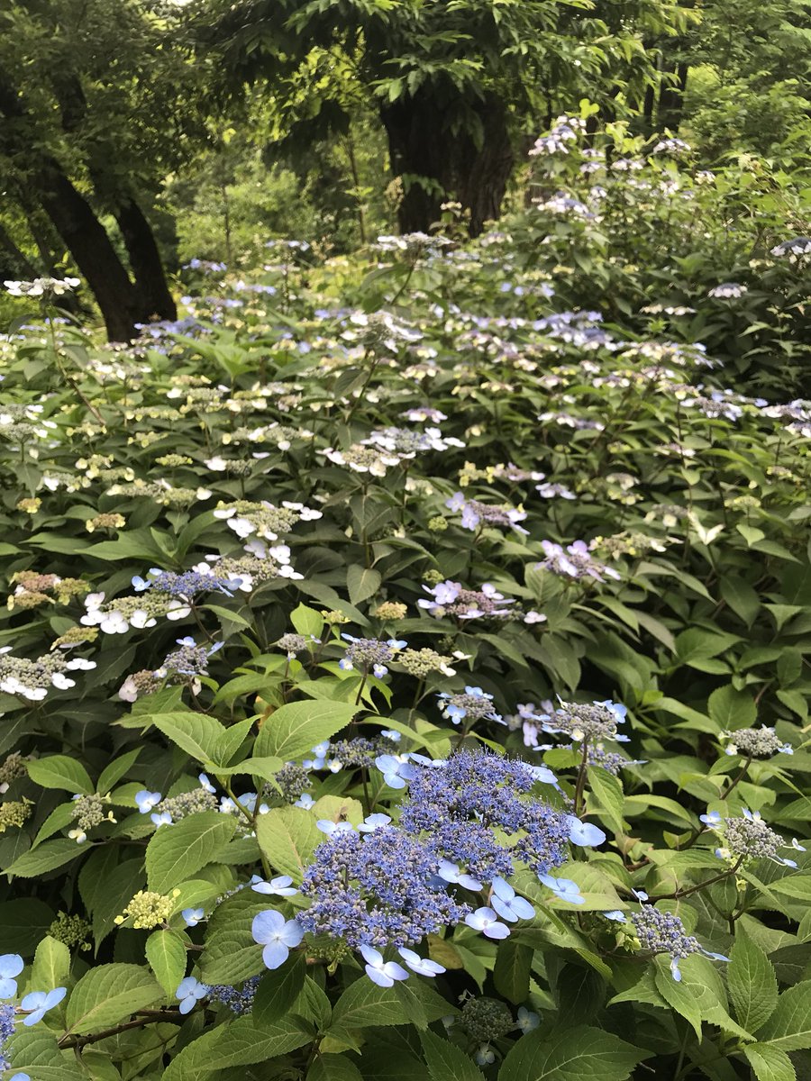 갑갑해서 동네 식물원 
#신구대식물원