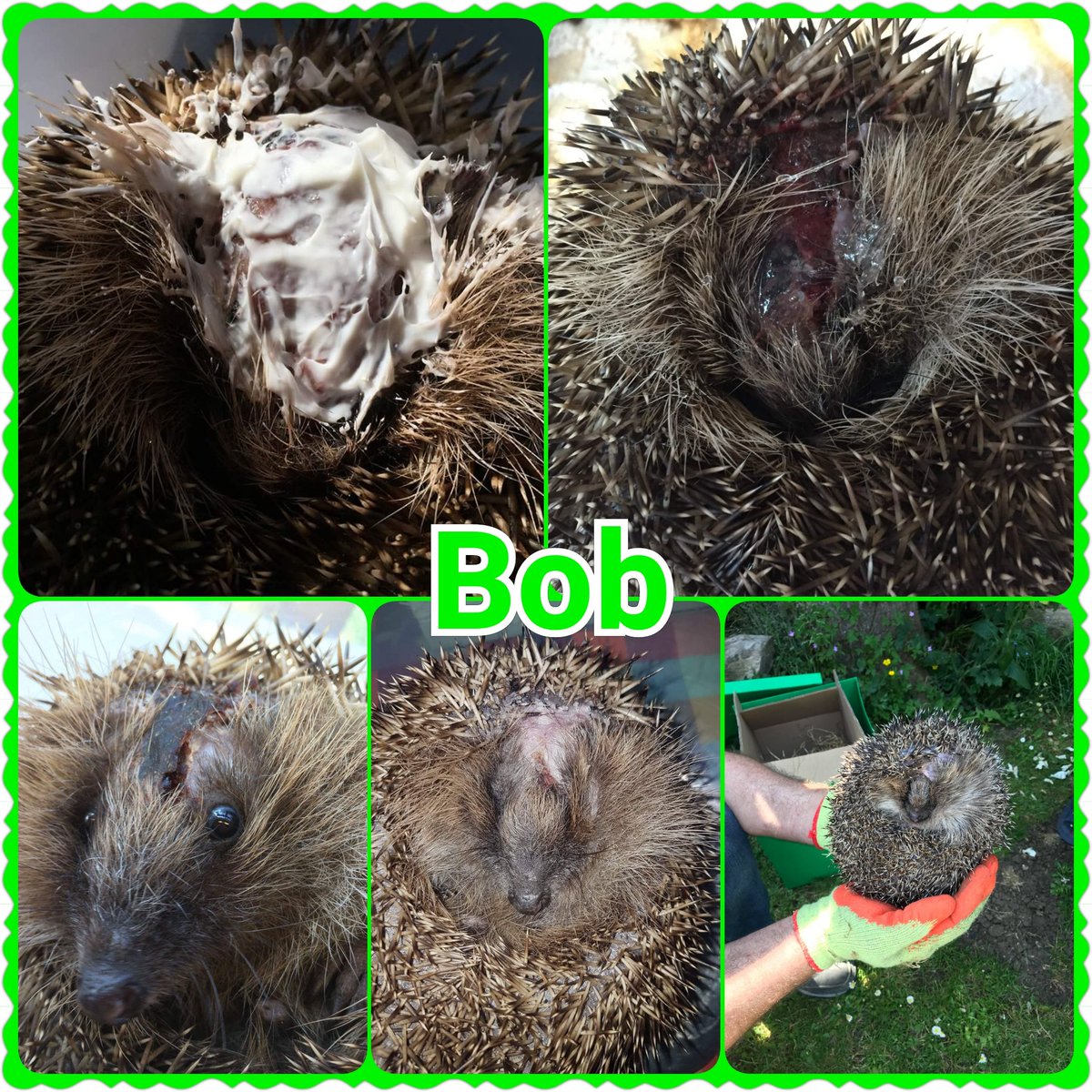 Profiles in the History of the U.S. Soil Survey