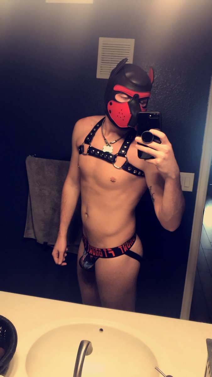 Pup_Himeros's tweet photo. Hiii!!!! This is my puppy page 😋 here are some good pictures of me to start this off right! I don’t pup out enough, but I think I might more here and there. No longer collared by Sir Dayton but it’s okay! ☺️😋 Time to explore! #pupplay #puphimeros https://t.co/MSQE8XCFki