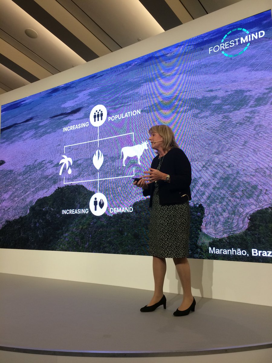 planamikebarry's tweet photo. Judith Batchelor @SainsburysNews launches new satellite based tool #ForestMind at #CGFsummit to help tackle #deforestation in global food supply chains https://t.co/uYenQX5fyY