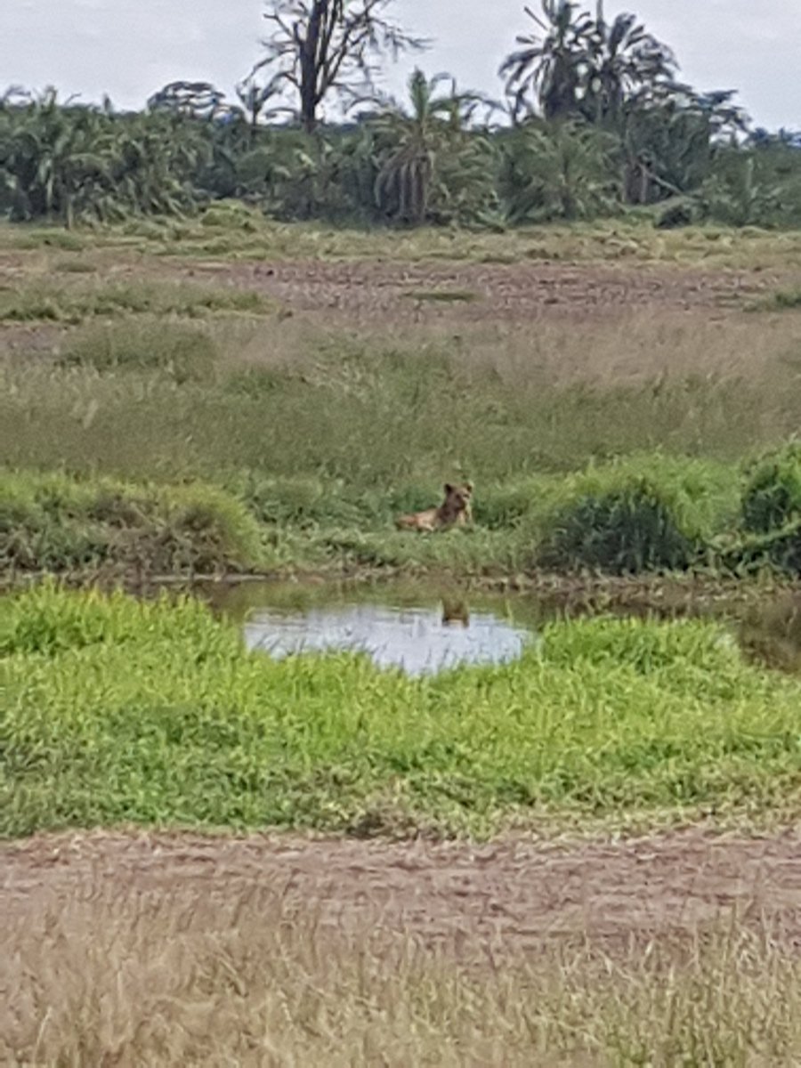 This was my great day ever.#MagicalKenya