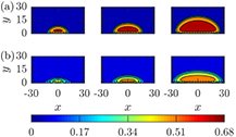 atlas of petct a quick guide to image interpretation