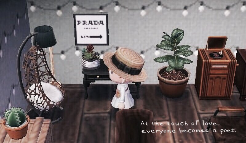 Uzivatel ぷぴ むぎまめ島 Na Twitteru そんちょうのおへや 黒いカフェ看板とお洋服の素敵なマイデザインお借りしています とびだせどうぶつの森 Animalcrossing