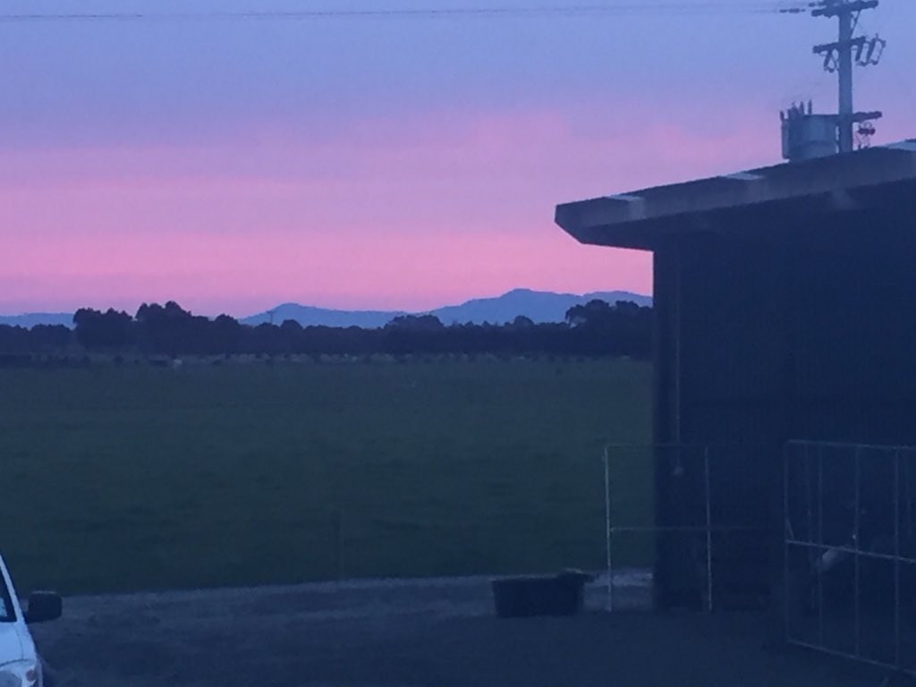 writchie7's tweet image. Two amazing sunsets at SDH. Not many days left here in the Deep South. I want to thank @DairyNZ for the support and opportunity to be apart of beginning of something pretty amazing for the Southland farming community. Back to Canterbury.... #CanTabforlife