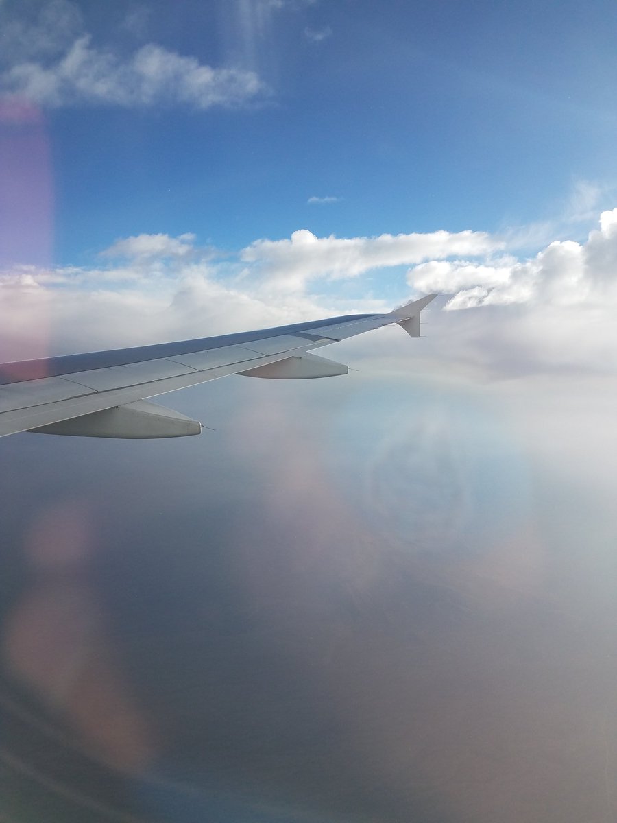 Gamebugio's tweet photo. Heading home for a week! Check out the subtle branding that happened completely by accident ๐ #subtlebranding https://t.co/2SKlewYA4f