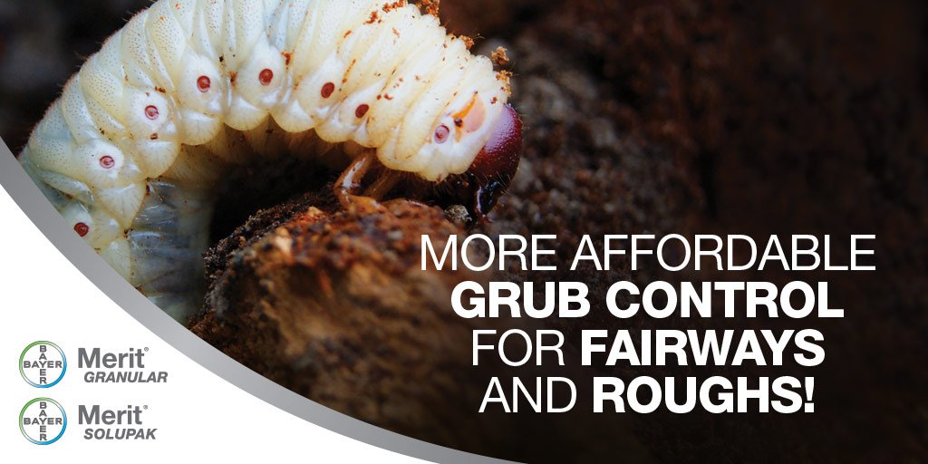EnvuGolfCA's tweet photo. Are you ready to make your application of Merit? Talk to your Bayer representative for correct timing of applications. #Merit #SeasonLongControl #NoWhiteGrubs #2GreatFormulations - https://t.co/hmwtNCLUoo https://t.co/piDGyB1MOr